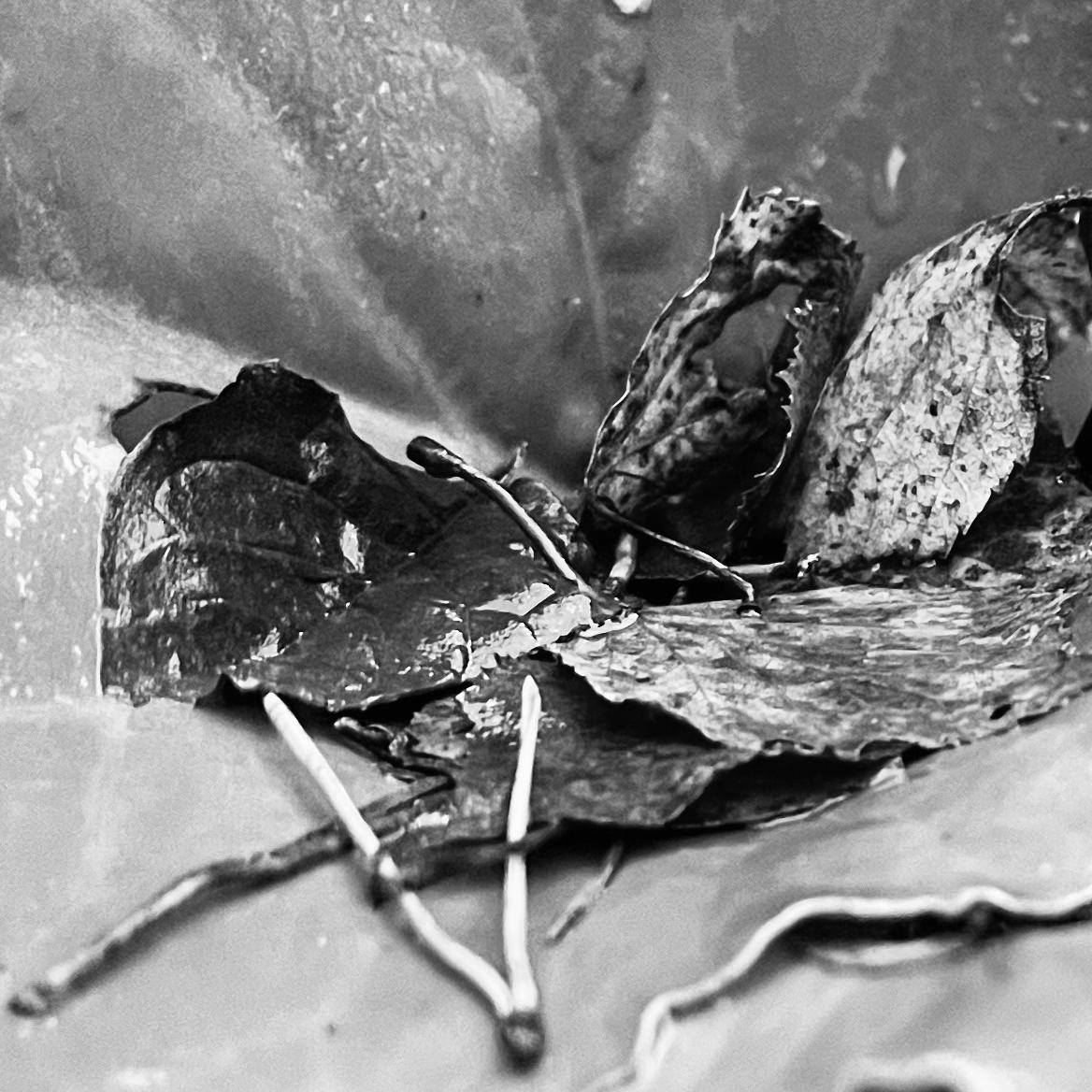 Sweat And Tears / November 2025