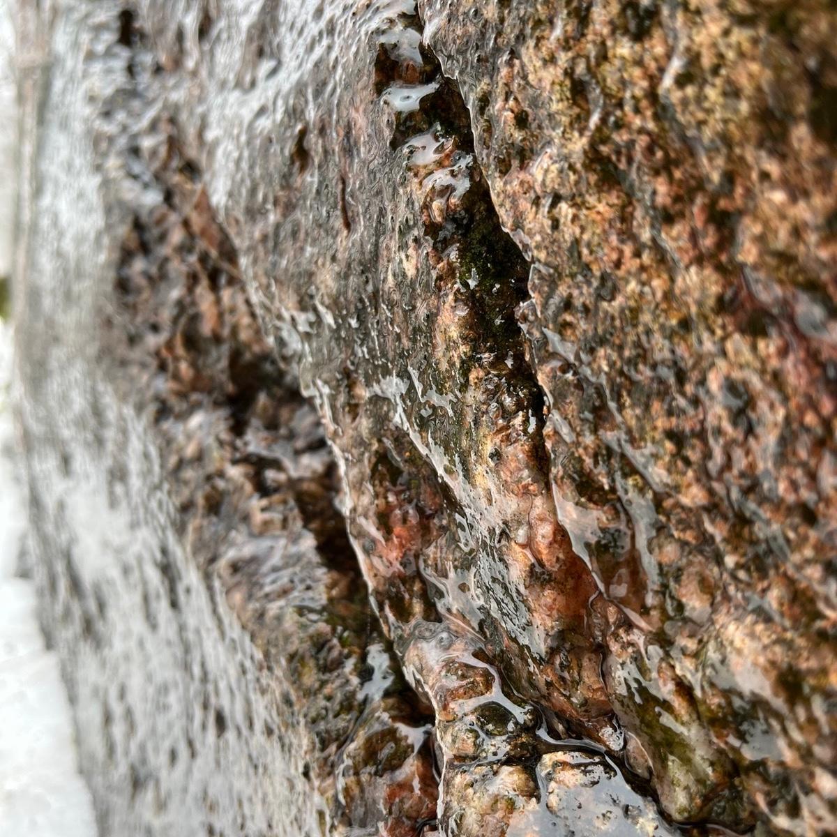 Sweat And Tears / March 2026